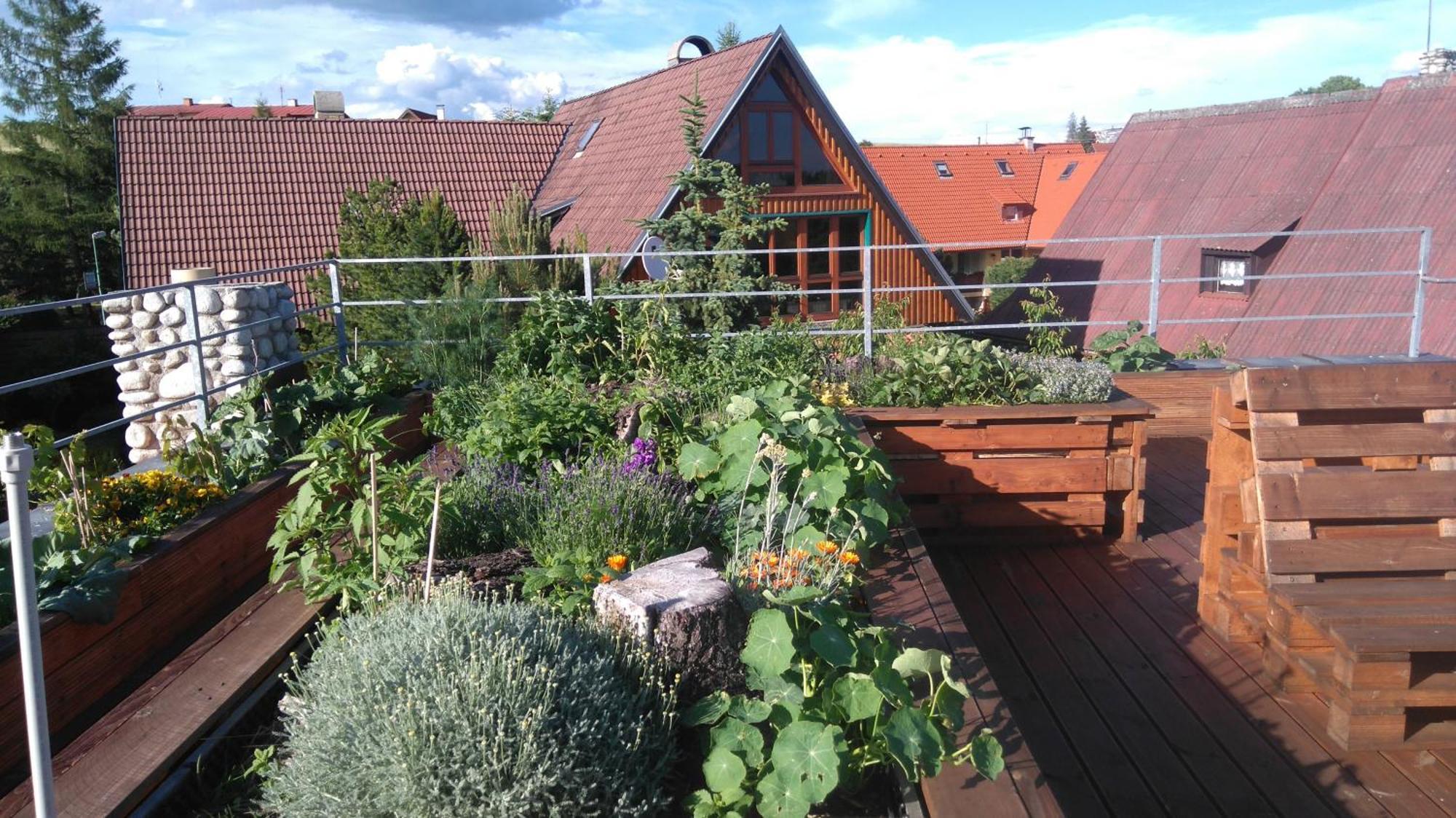 Family House - Apartmany Zuzana Stará Lesná Zewnętrze zdjęcie